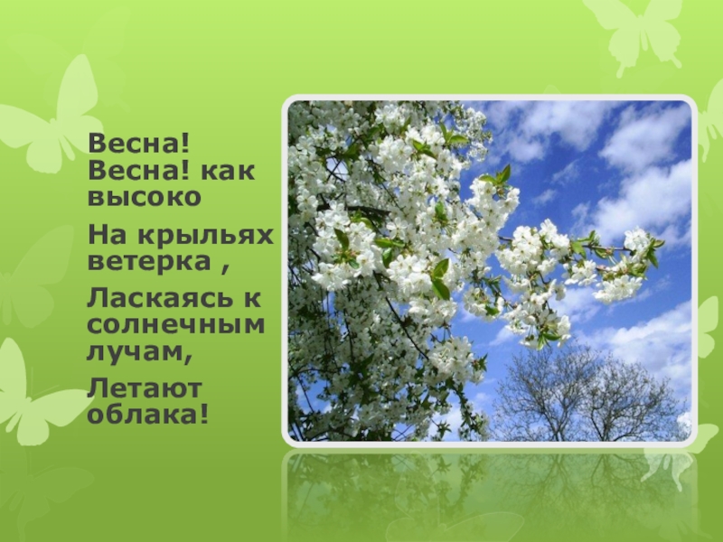 Баратынский как воздух чист. Весна Весна как. Стих Весна Весна как воздух чист. Весна Весна как высоко на крыльях. Весна Весна как высоко на крыльях ветерка.