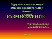 Презентация по биологии на тему Размножение, для обучающихся 8 класса