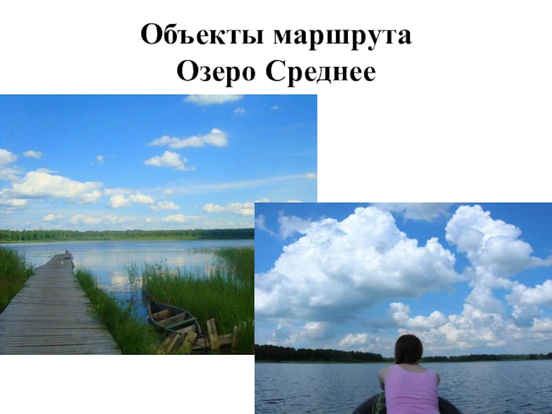 Озеро среднее озерное. Озеро среднее Викуловский район. Озеро среднее Тюменская область. Озера в Викуловском районе.