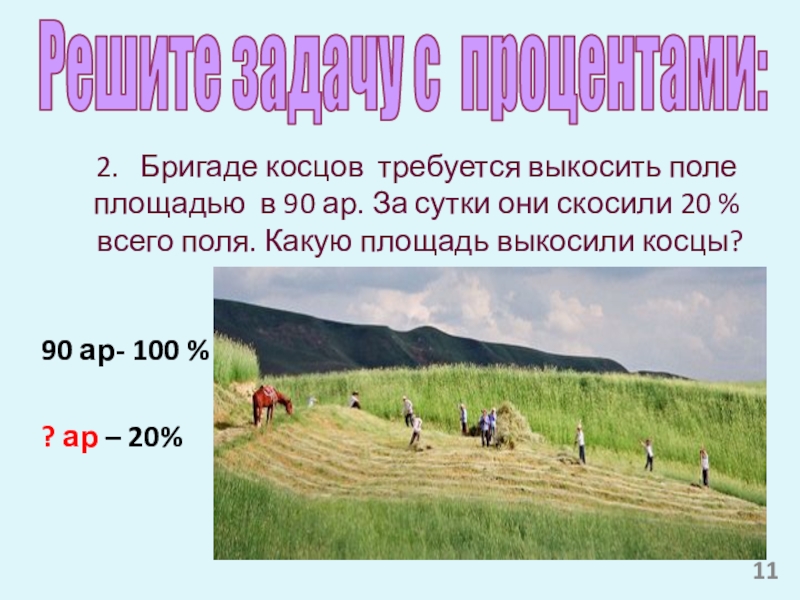 Найдите площадь луга если скосили 21. Какая площадь всего поля. Загадка про Косцов решение. Какая площадь всего поля с процентами. Фамилия Косцов.