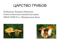Презентация по биологии на тему Грибы