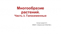 Презентация по биологии Многообразие растений. Часть 3. Голосеменные