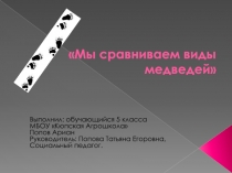 Слайды на тему Мы сравниваем виды медведей