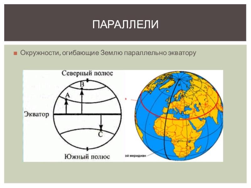 Две параллели. Параллели и меридианы 5 класс география. Параллели земли. Экватор Меридиан параллель. Экватор Меридиан параллель шара.