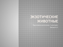 Презентация для дошкольников  животные жарких стран