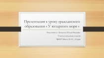 Презентация к уроку гражданского образования на тему У янтарного моря