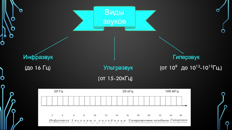 Ультразвук и инфразвук физика 9 класс