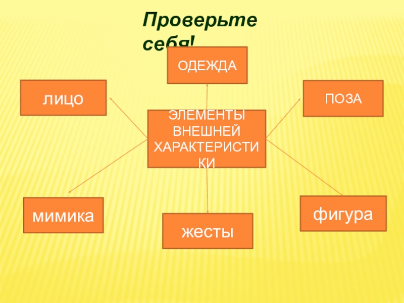 Проверьте себя! ЭЛЕМЕНТЫ ВНЕШНЕЙХАРАКТЕРИСТИКИлицоОДЕЖДАПОЗАмимикажестыфигура