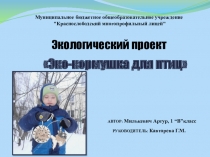 Экологический проект Эко-кормушка для птиц