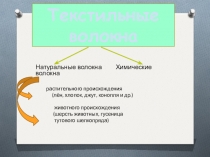 Презентация по технологии 5 класс