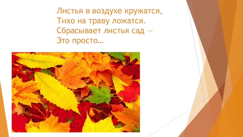 Медленно кружатся в воздухе и тихо ложатся на землю листья схема предложения