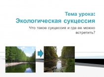 Презентация по биологии на тему Экологическая сукцессия (9 класс)