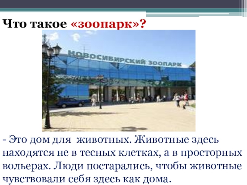 Что такое зоопарк 1 класс. Проект 1 класс окружающий мир зоопарки мира. Доклад про зоопарк 1 класс. Проект зоопарк 1 класс окружающий мир. Доклад про зоопарк 3 класс.