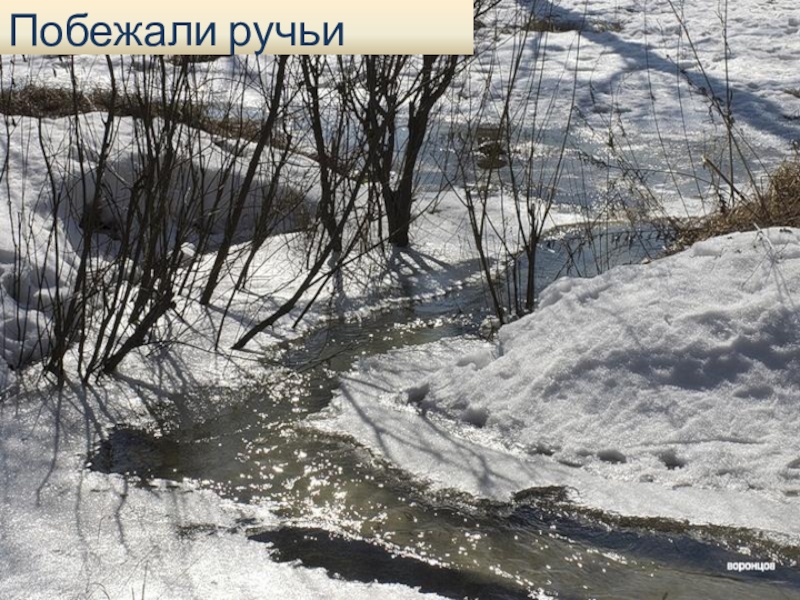 поле синтаксический разбор. весенний ручей с корабликом. весеннее солнце пригрело землю. синтаксический разбор в полях бегут шумные и говорливые ручьи. бумажный кораблик в ручье.