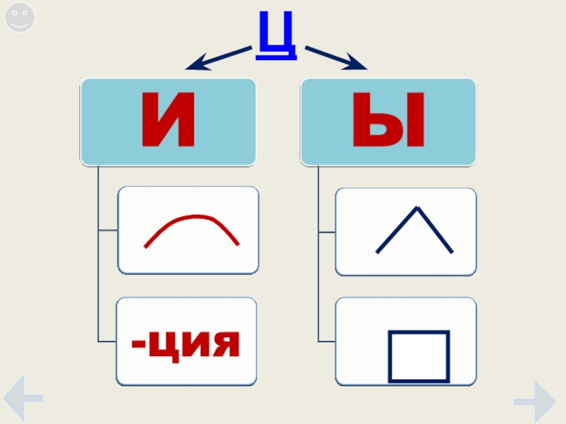 Карточки ы. И Ы после ц. Правописание и ы после ц. Схема правописание и ы после ц. Буква и после ц.