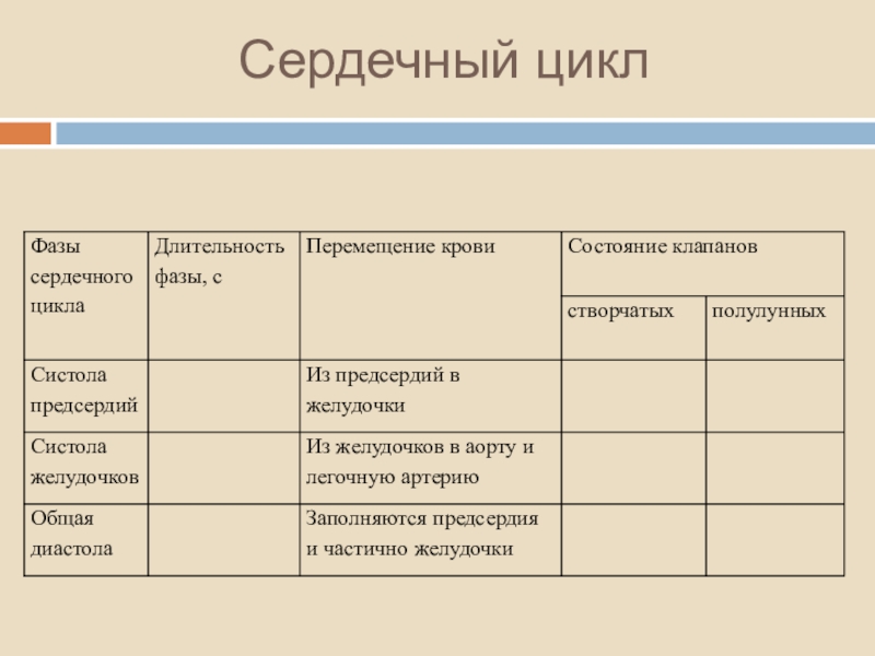 Сердечный цикл таблица по биологии 8 класс