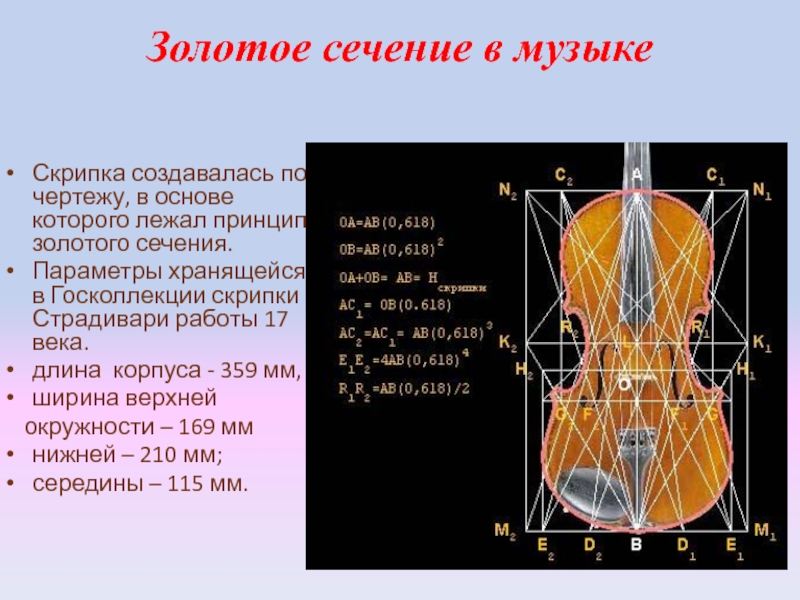 Проект по золотому сечению