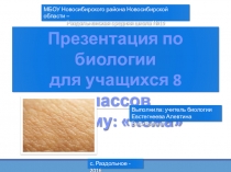 Презентация по биологии Кожа (8 класс)