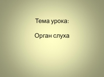 Презентация по биологии на тему Орган слуха