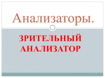 Презентация по биологии на тему зрительный анализатор