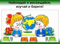 Презентация по окружающему миру Насекомые