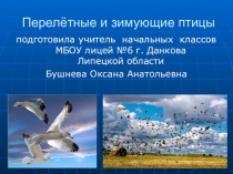 Презентация к уроку окружающего мира Перелётные и зимующие птицы