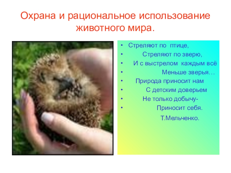 Презентация Презентация по биологии к уроку Охрана животных ( 7 класс)