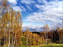 Презентация к уроку окружающего мира Растения огорода. Разнообразие растений