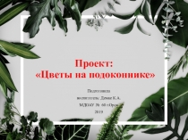 Презентация проекта во второй младшей группе Цветы на подоконнике