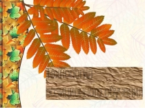 Презентация Внедрение технологии позиционного обучения.