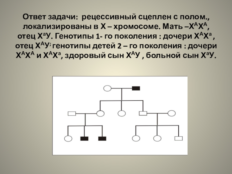 Задачи сцепленные с полом. Родословные задачи по генетике пробанд. Задачи по родословной генетика. Задачи с х хромосомой. Задачи на родословную по генетике с решением.