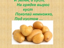 Праздник картошки (4 класс)