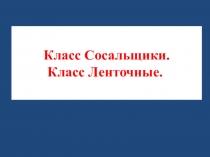 Презентация по биологии на тему: Многообразие типа Плоские черви.