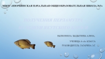Доклад на тему Получение перламутра из чешуи якутского карася
