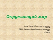 Презентация Почему мы любим кошек и собак (1 класс)