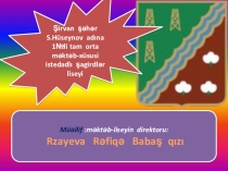 Презентация по Азербайджанскому языку на тему :  ВШДЫ ГЛАГОЛА ПО ГРАММАТИЧЕСКИМ ЗНАЧЕНИЕМ
