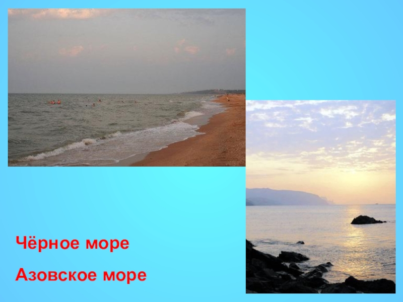 Азовское море проект 4 класс