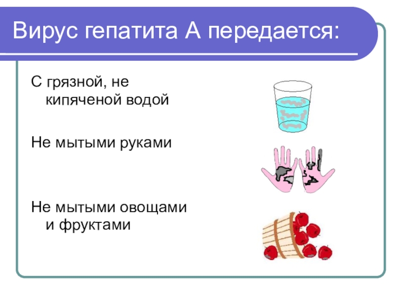 Презентация по гепатиту