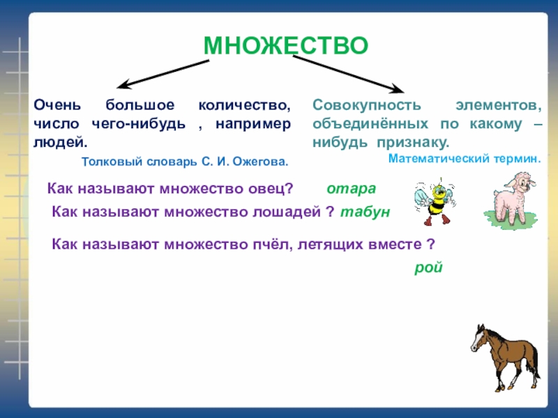 Множества 5 класс математика презентация