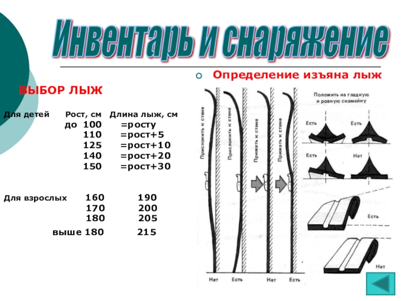 Размер лыж по росту. Длина лыж. Выбор лыж по росту ребенка. Выбор лыж по росту ребенка для детей. Подобрать лыжи по росту ребенка.