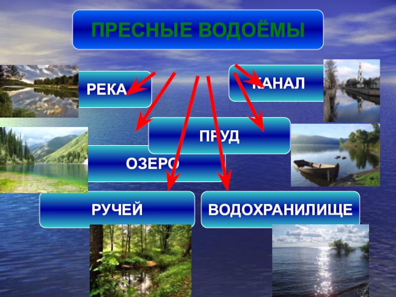 Какие водоемы называют озерами. Название водоемов. Водоемы с пресной водой. Какие есть пресные водоемы. Пресные и соленые водоемы.