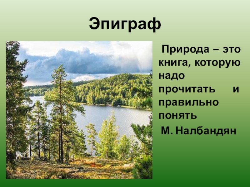 Васюткино озеро фото в реальной жизни