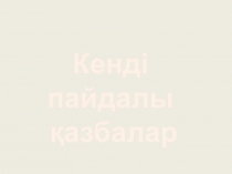 Презентация тақырыбы: Кенді пайдалы қазбалар 4-сынып дүниетану
