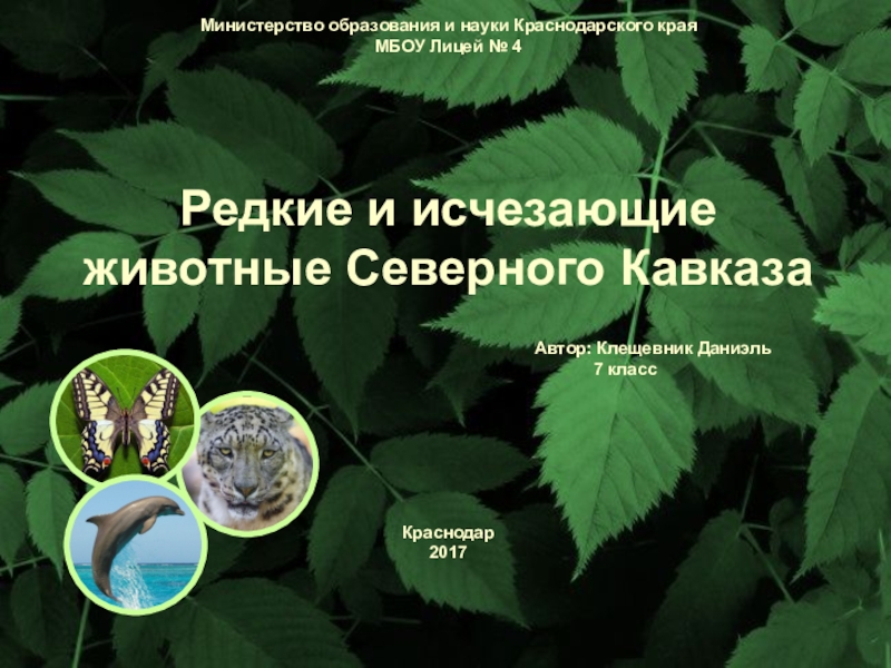 Презентация Презентация проекта по биологии на тему Редкие и исчезающие животные Северного Кавказа