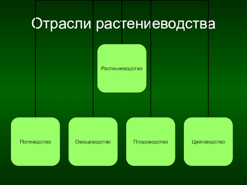 Проект по технологии 6 класс растениеводство