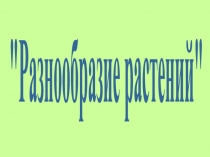 Презентация по окружающему миру Разнообразие растений