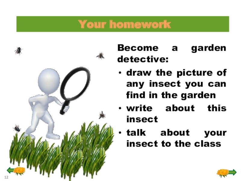 Project become a garden detective. Project become a garden detective go on an insect hunt 5 класс гдз. Project become a garden detective. смешной аниме арт. арсен люпен арт.
