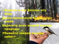 Презентация Животный мир лесной зоны (7 класс)