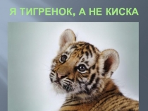 Презентация по художественной деятельности Тигры