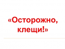 Презентация к классному часу Осторожно, клещи!
